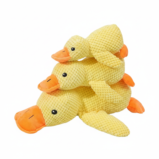 Canards empilés fond blanc
