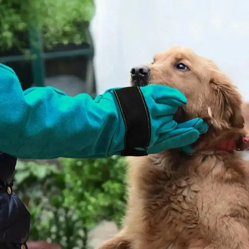 Gants de protection anti-griffures et anti-morsures pour animaux