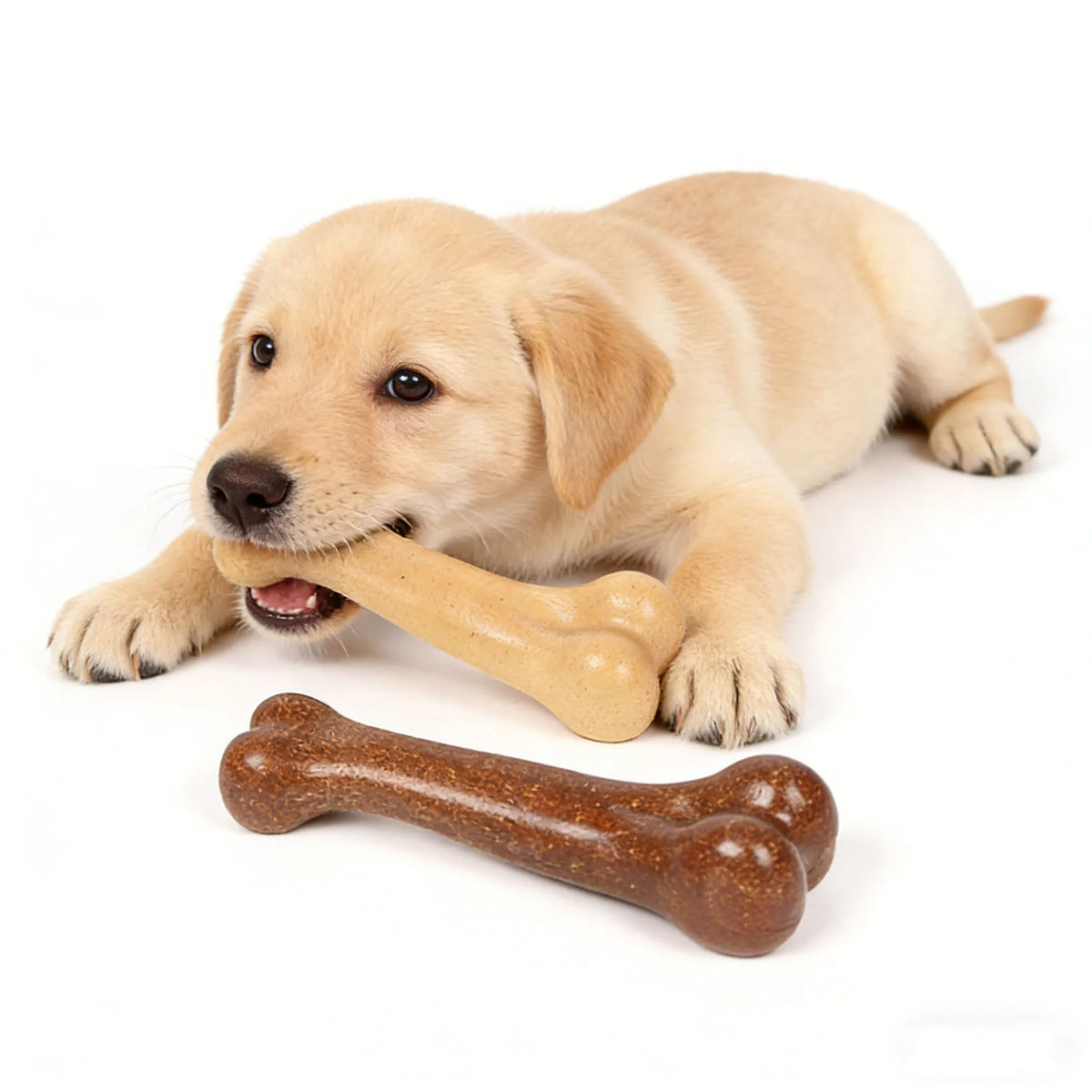 Os à mâcher indestructibles en forme d'os pour chiens
