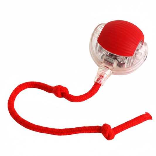 Balle interactive fond blanc