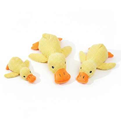 Canards couchés fond blanc