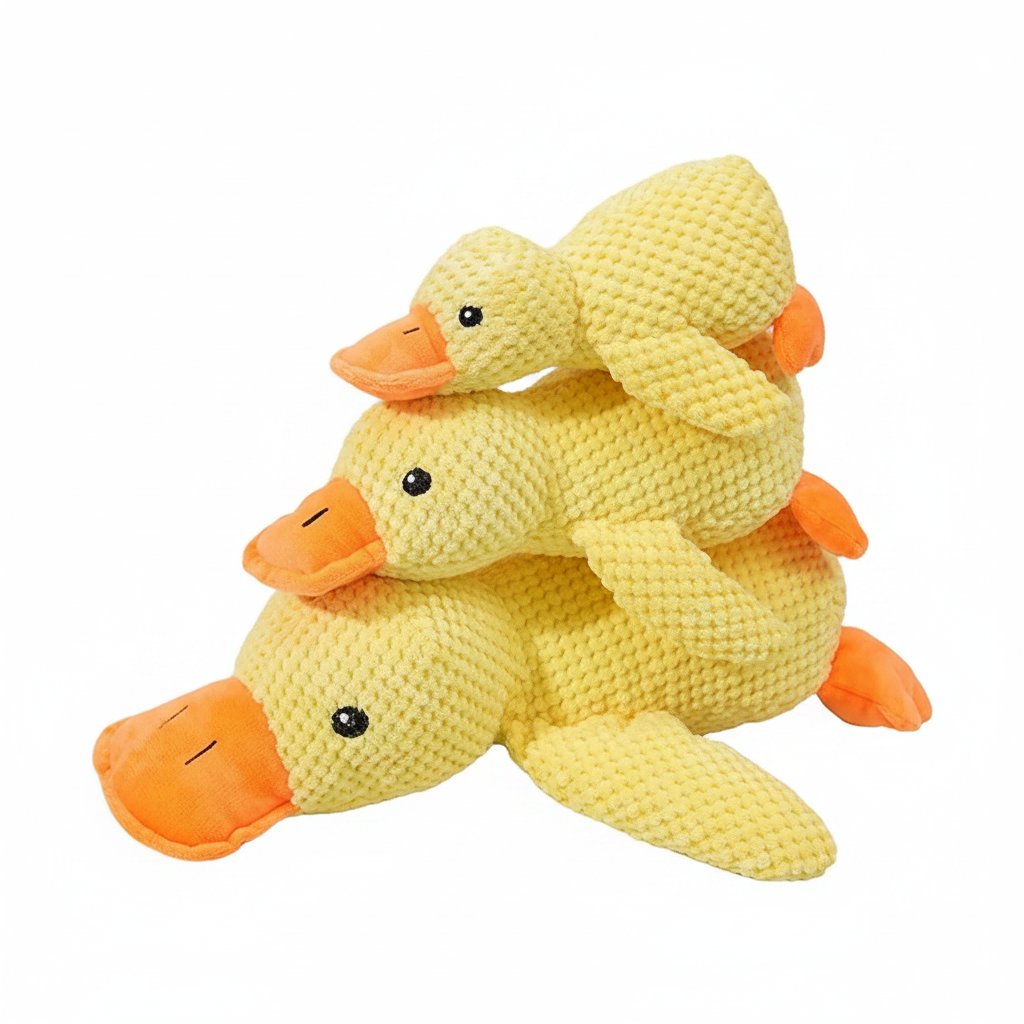 Canards empilés fond blanc