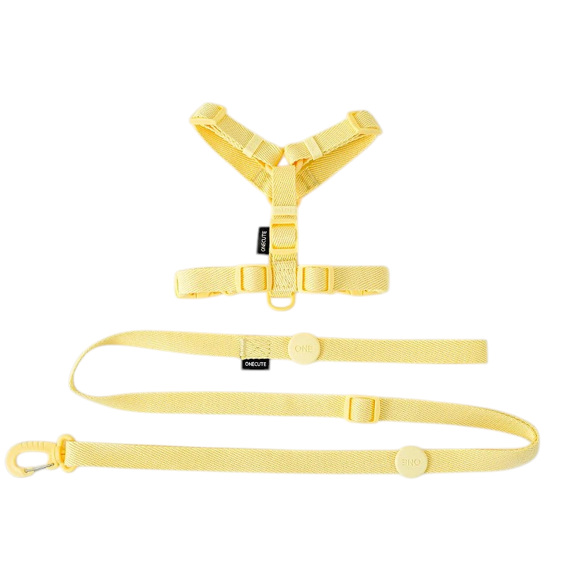 Ensemble MonPachaTech composé d'un harnais et d'une laisse réglables en polyester jaune pour chiots et chats