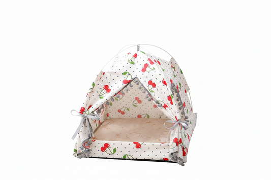 Tente tipi chat fond blanc