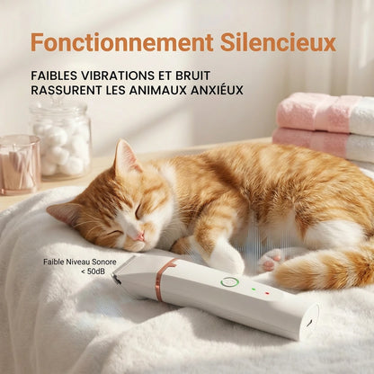 Tondeuse Électrique Silencieuse